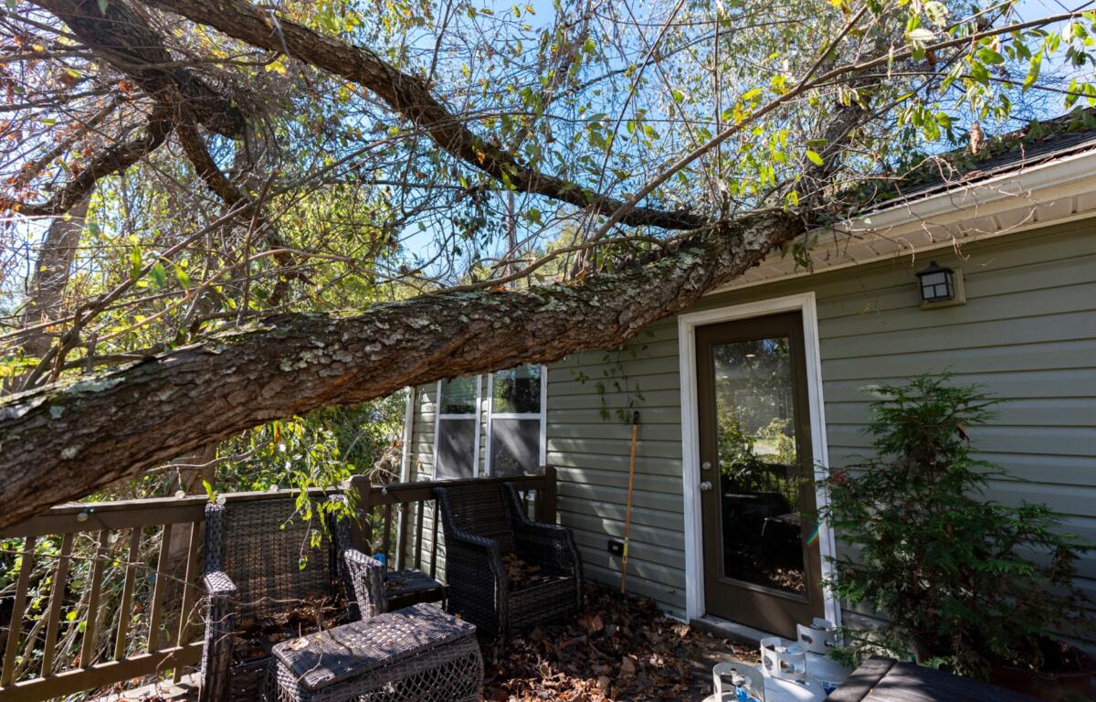 Large tree branch rests on a wooden deck and the house, with wicker chairs and fallen leaves nearby.