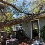 Large tree branch rests on a wooden deck and the house, with wicker chairs and fallen leaves nearby.