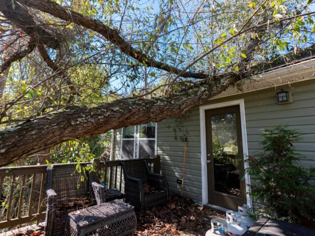 Large tree branch rests on a wooden deck and the house, with wicker chairs and fallen leaves nearby.