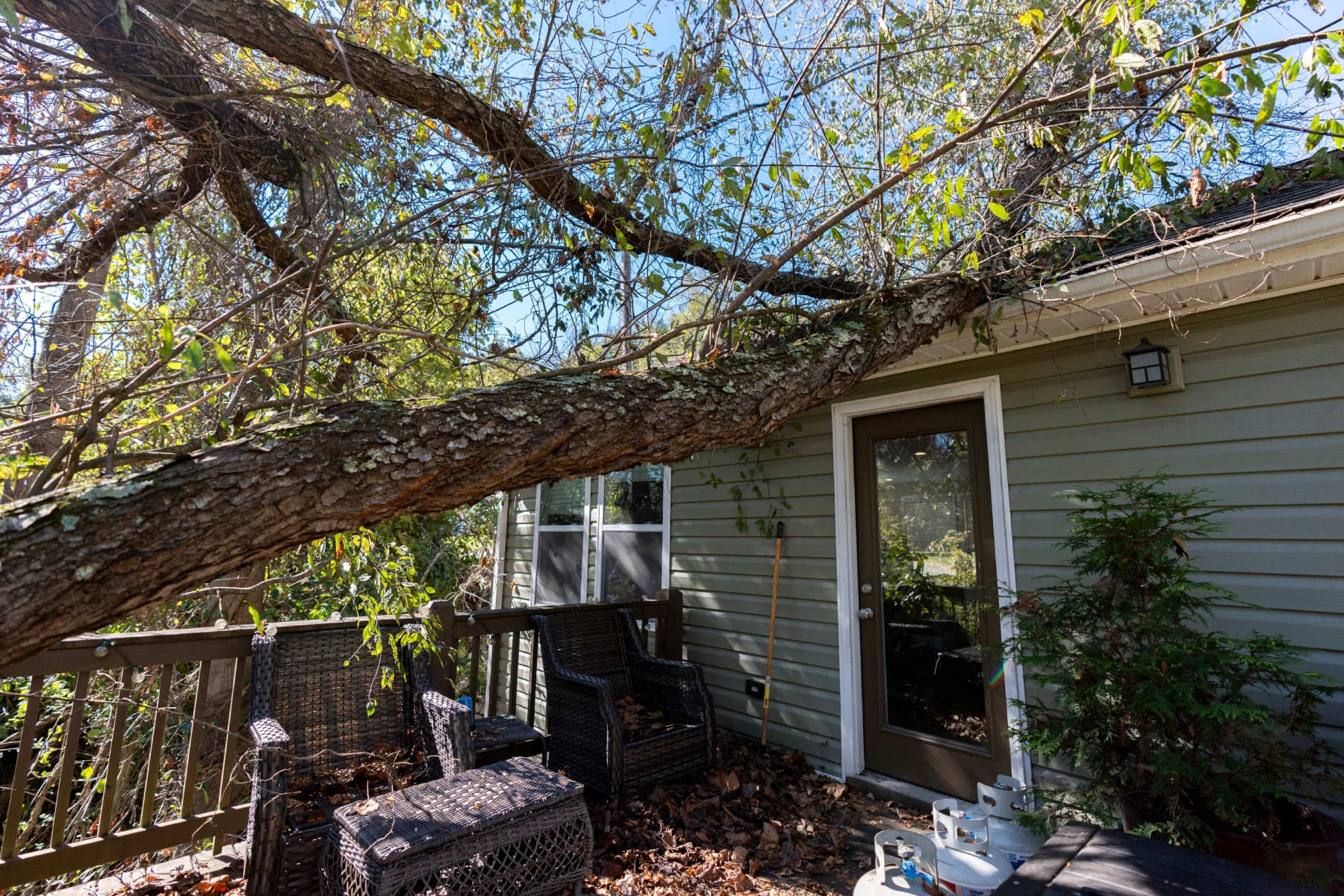 Large tree branch rests on a wooden deck and the house, with wicker chairs and fallen leaves nearby.