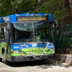 Front view of a blue and green city bus with a bike rack on the bumper and an amber destination sign above the windshield, parked on a street.