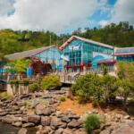 Exterior view of Ripley's Aquarium with blue and red-framed glass facade, set against a hillside with trees and a rocky waterfront in the foreground
