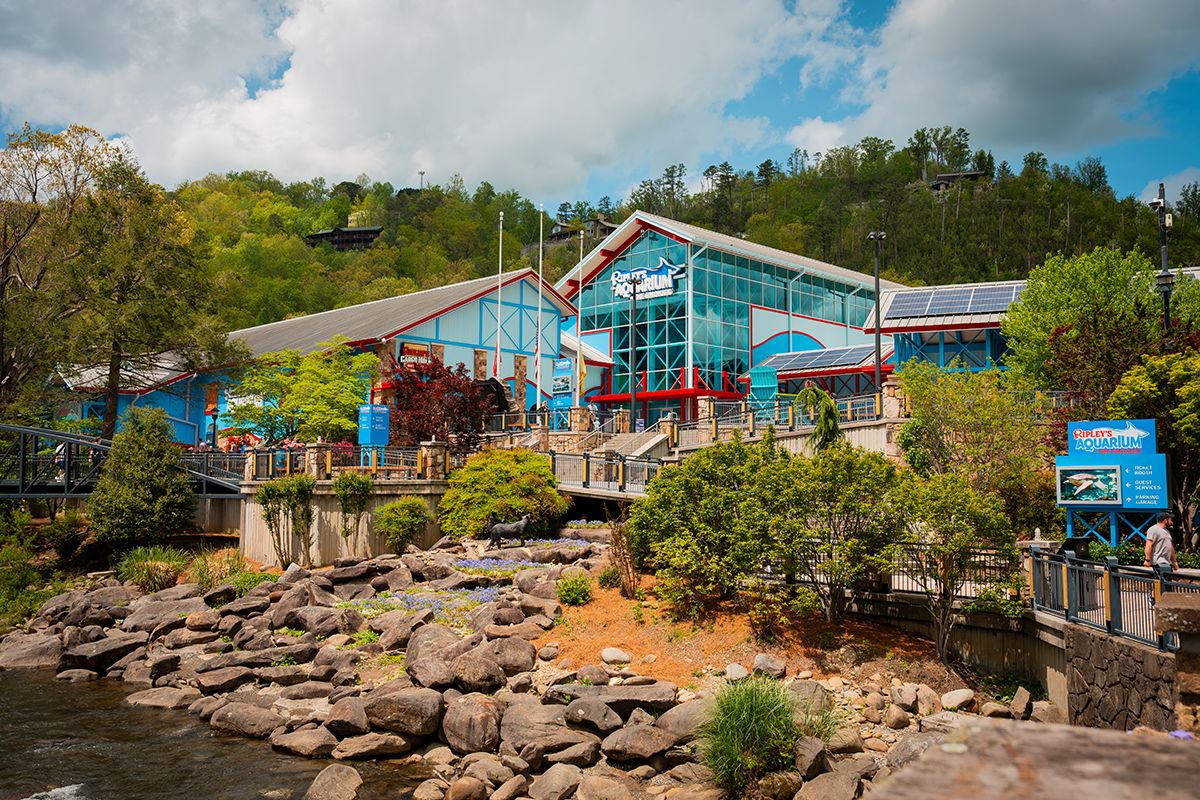 Exterior view of Ripley's Aquarium with blue and red-framed glass facade, set against a hillside with trees and a rocky waterfront in the foreground