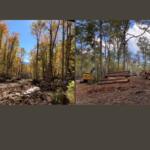 Big Ivy and Shope Creek Progress