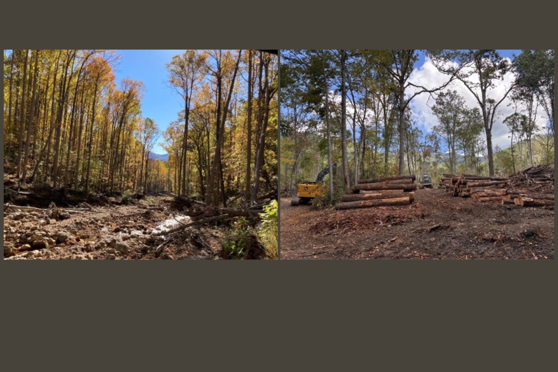 Big Ivy and Shope Creek Progress
