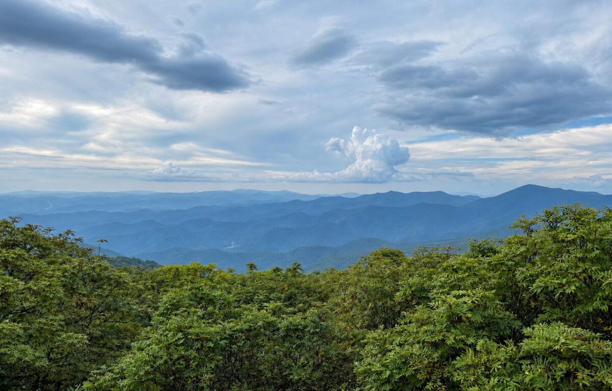 A panoramic mountain landscape with layered blue ridges and a cloudy sky above, foreground filled with green shrubs.
