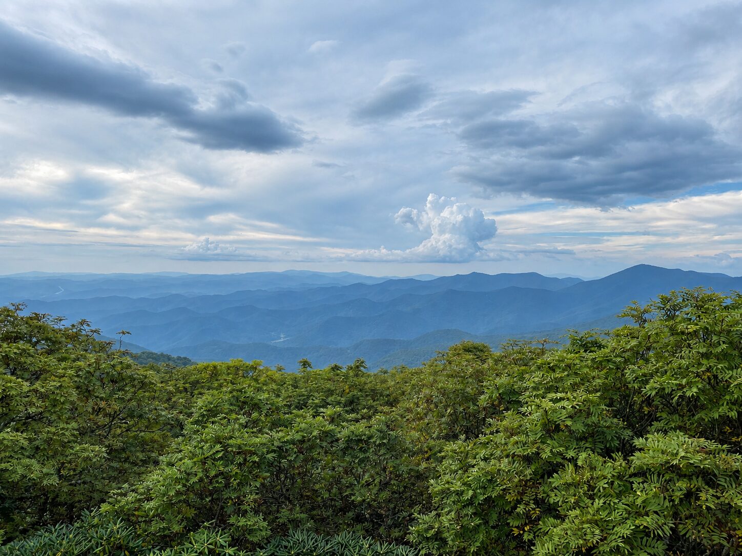 Blue Ridge Mountains Ridges Best Blue Ridge Parkway stops near Asheville for summer scenic drives ...