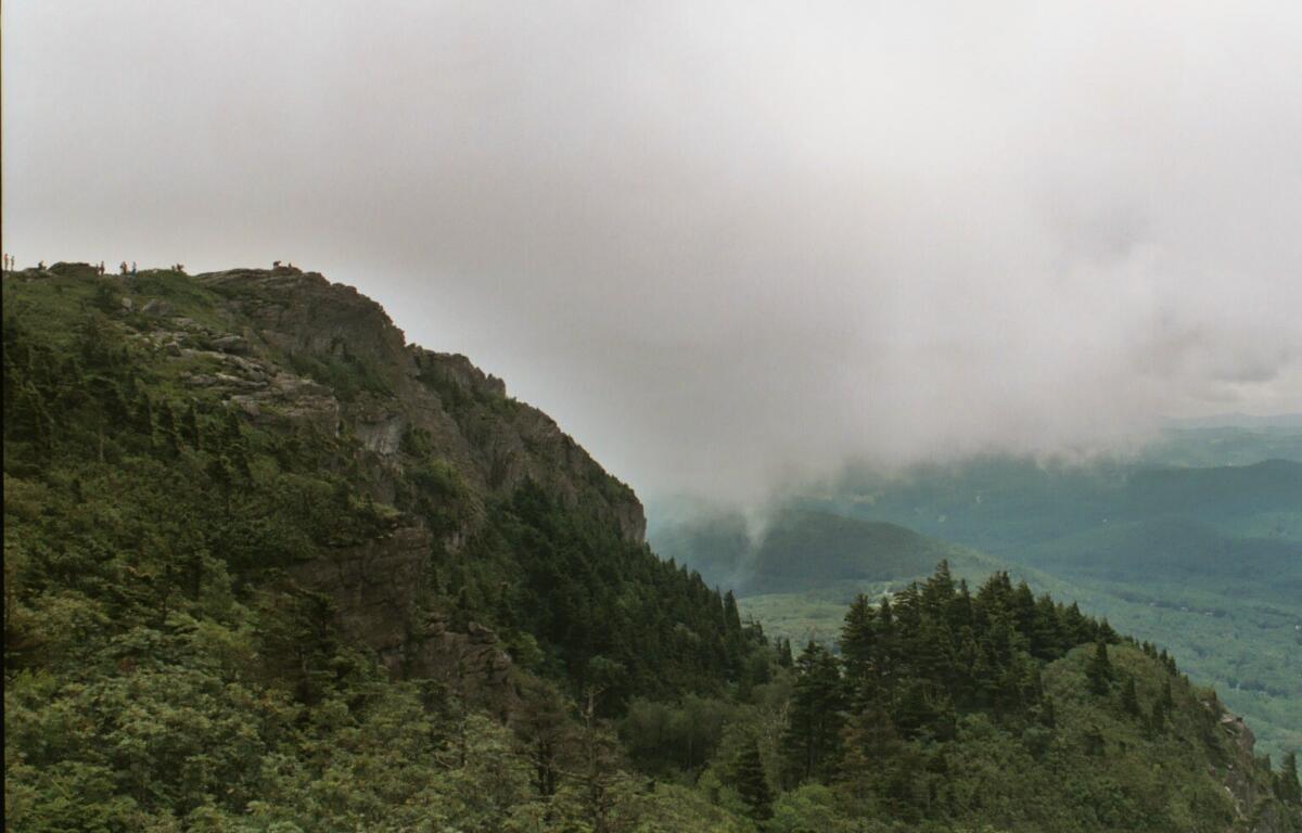 Rocky mountain ridge with dense evergreen forest and misty clouds rolling over the valley below.
