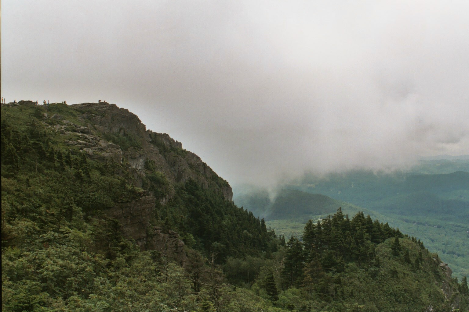 Rocky mountain ridge with dense evergreen forest and misty clouds rolling over the valley below.