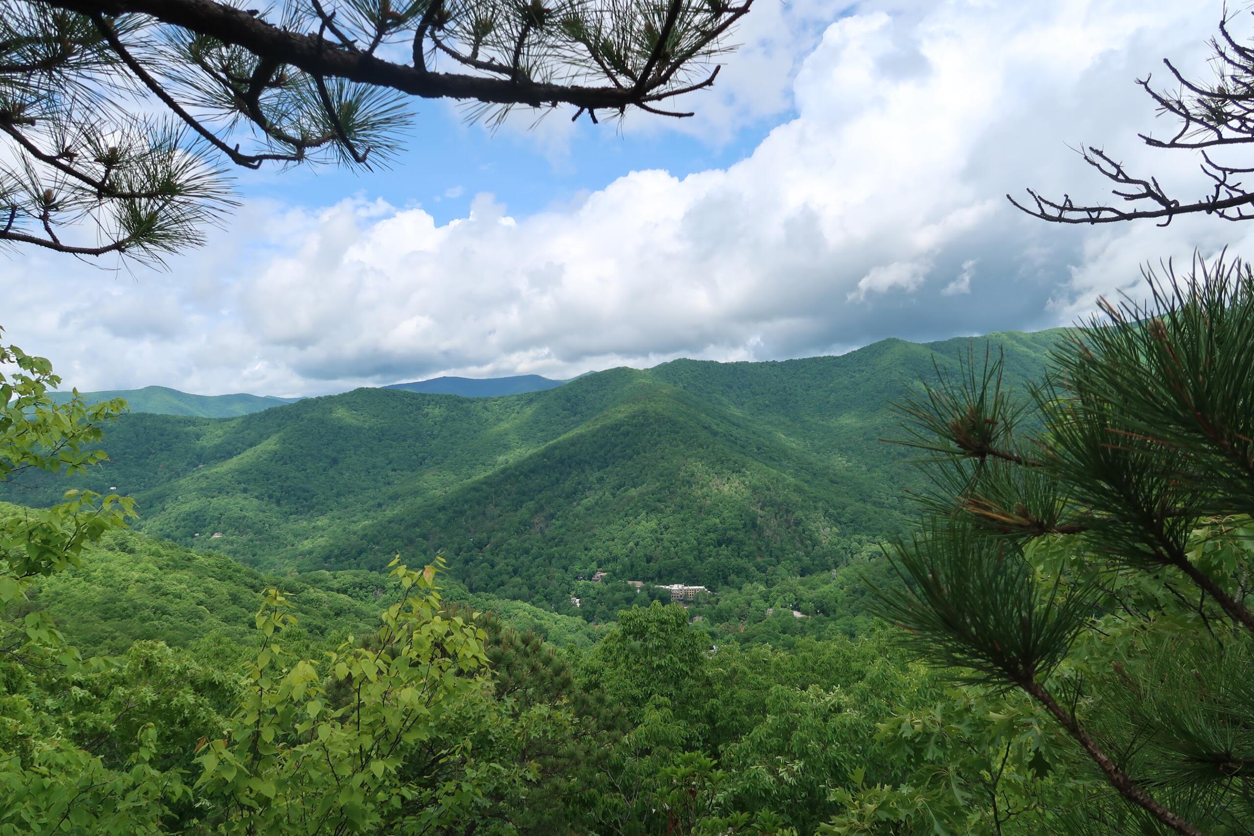 Mountain valley with green forest, rolling hills, and a blue sky framed by pine branches in the foreground.
