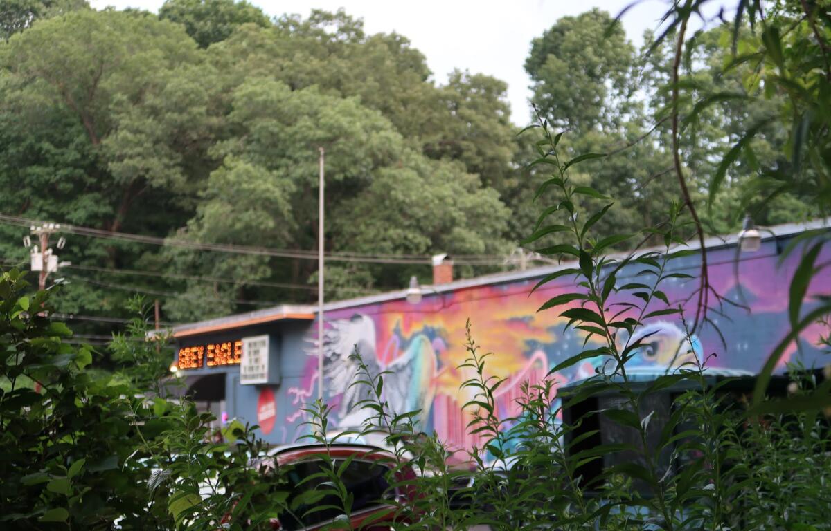 Graffiti-covered building wall with bright colors seen through foreground branches and cars nearby, urban scene.