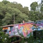 Graffiti-covered building wall with bright colors seen through foreground branches and cars nearby, urban scene.