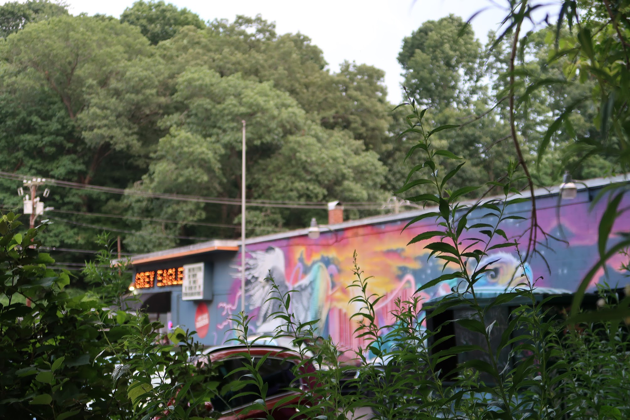 Graffiti-covered building wall with bright colors seen through foreground branches and cars nearby, urban scene.