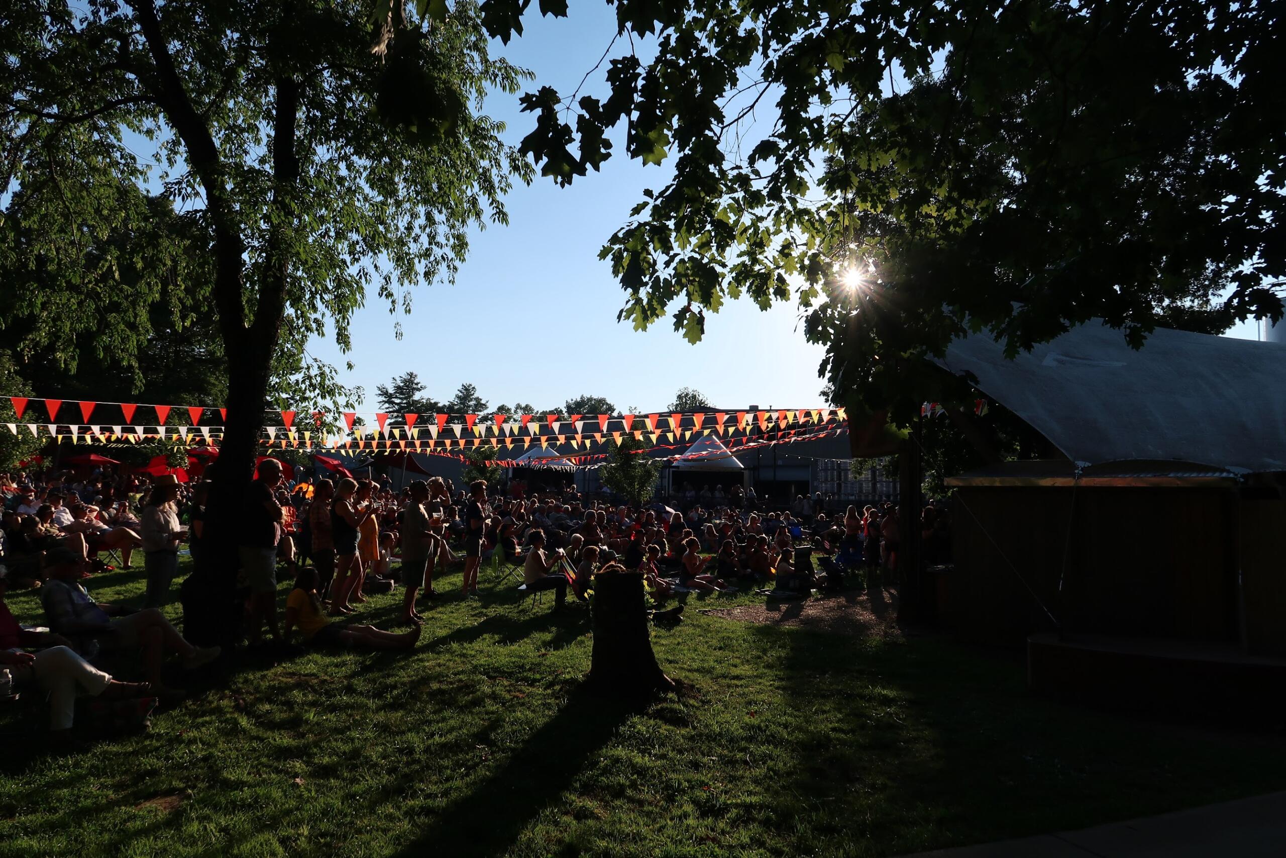 Outdoor festival with a crowd seated on grass under colorful bunting, trees providing shade and a bright blue sky.