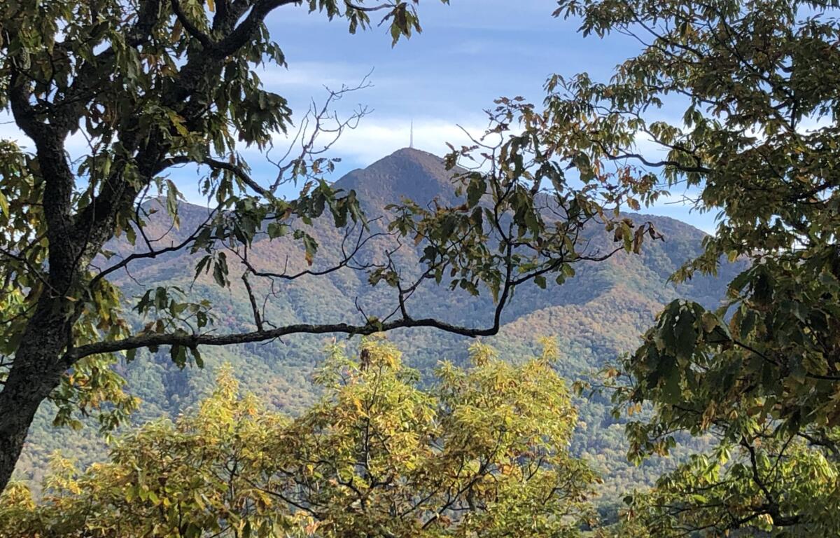 Mountain ridge framed by tree branches with green and yellowing leaves against a blue sky behind it