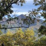 Mountain ridge framed by tree branches with green and yellowing leaves against a blue sky behind it