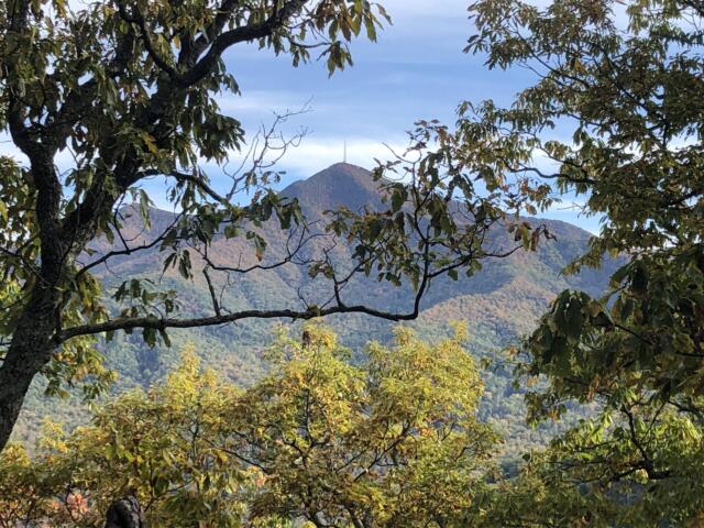 Mountain ridge framed by tree branches with green and yellowing leaves against a blue sky behind it