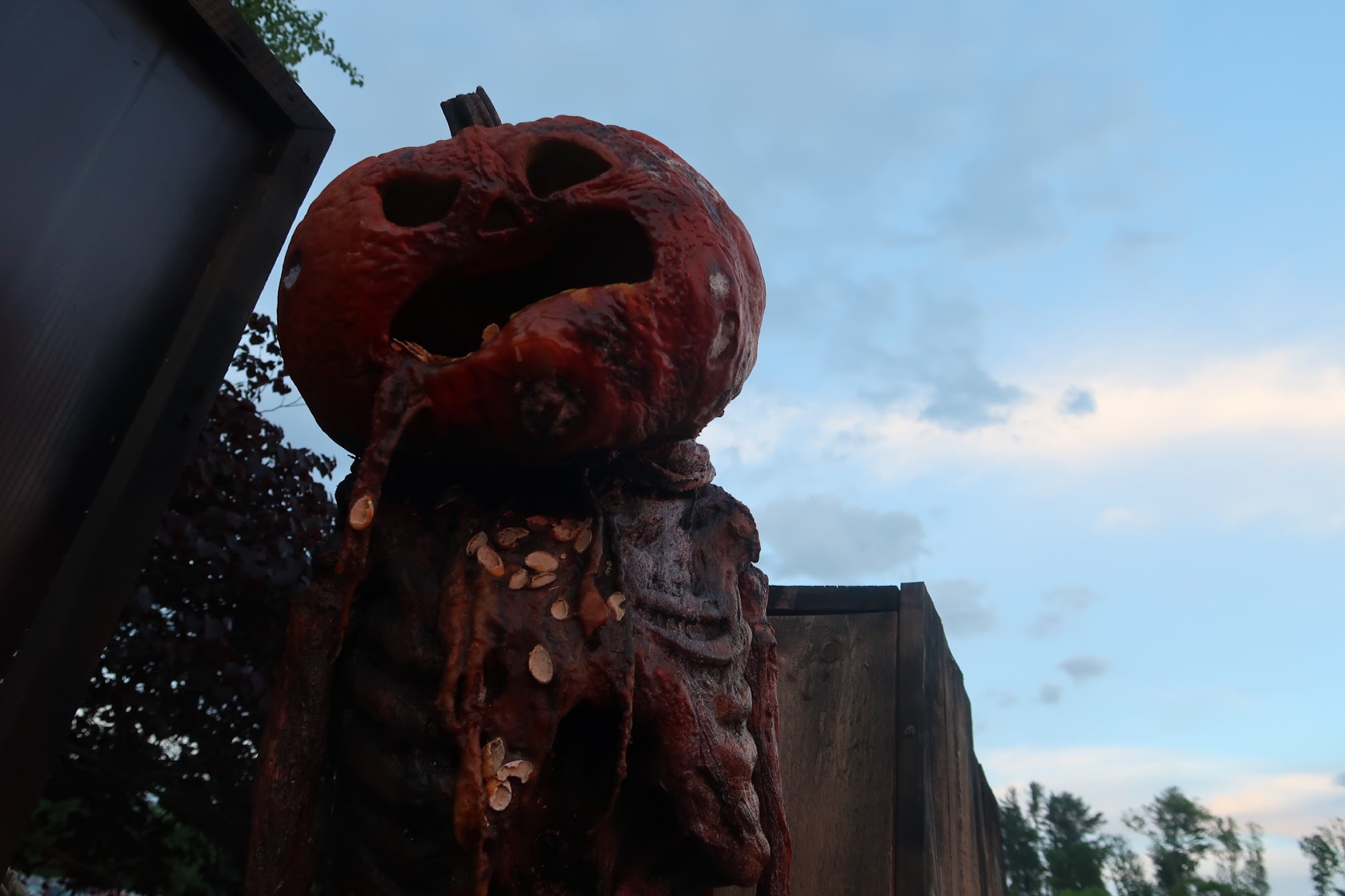 Rusty sculpture head with hollow eyes and open mouth, outdoors beside a wooden fence, with seeds stuck to its chest.