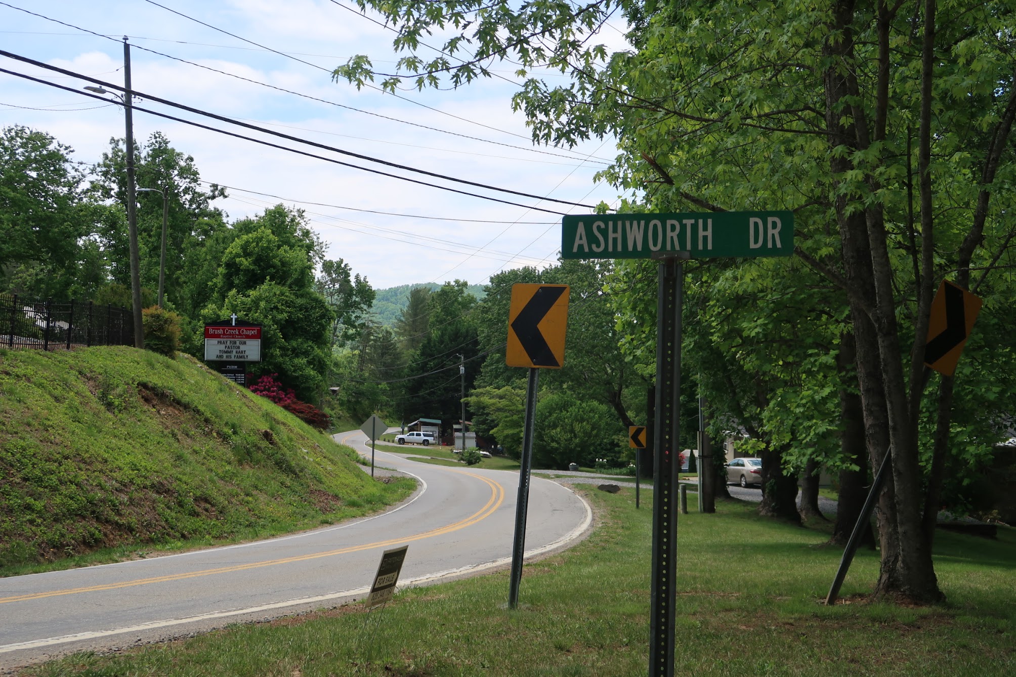 Curved road lined with trees and power lines; Ashworth Dr street sign visible with yellow chevron signs nearby.
