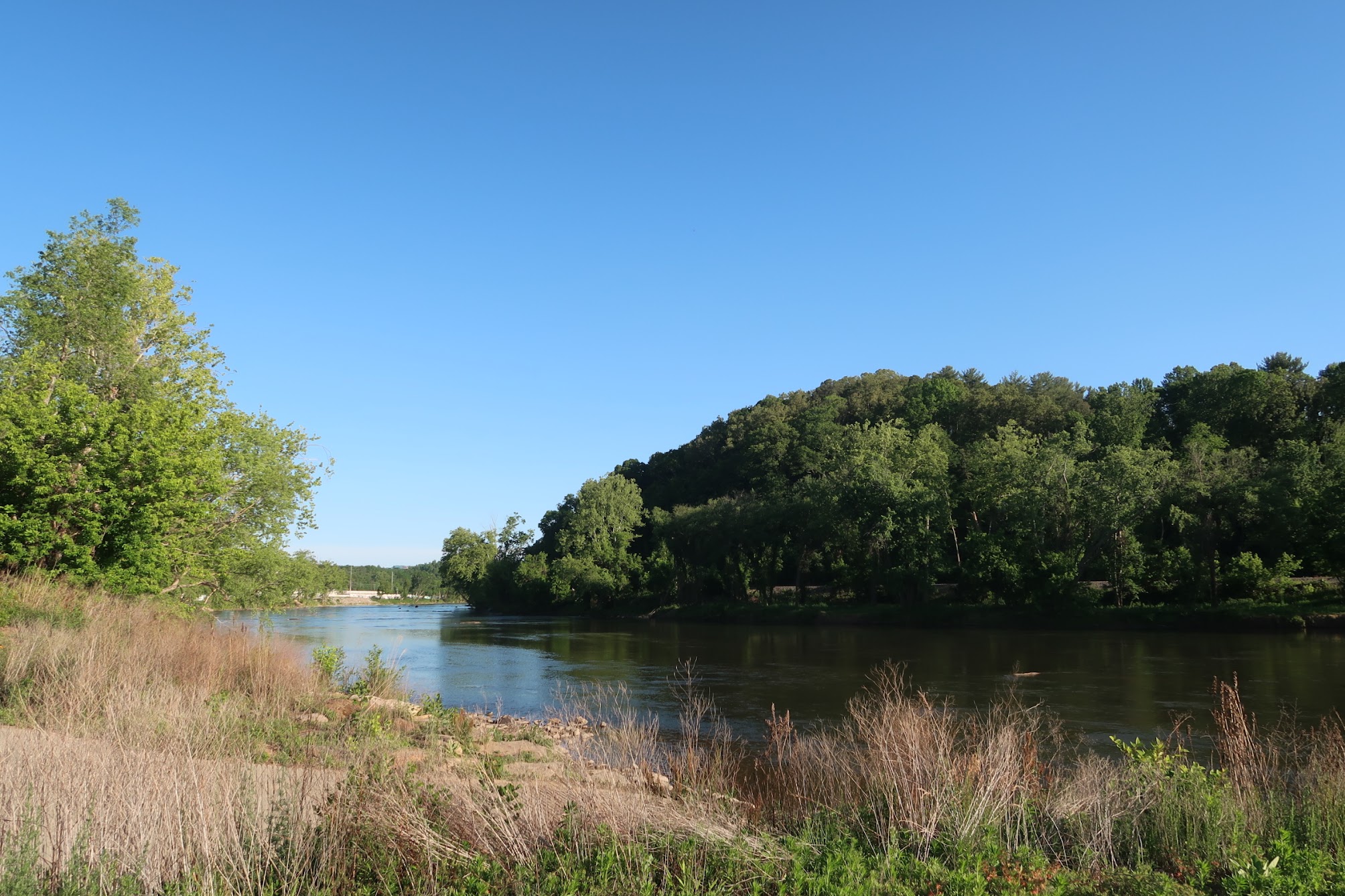 A calm river runs along a forested shoreline under a clear blue sky, trees lining both banks.