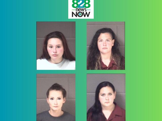 828 News Now logo above a 2x2 grid of four mugshots of women on a teal-to-green gradient background.