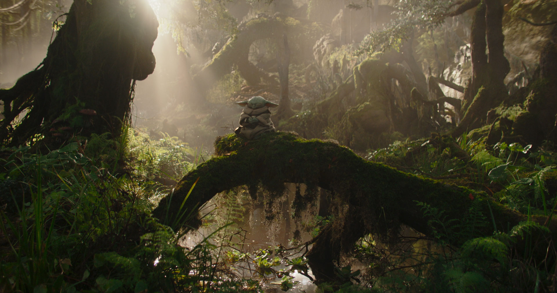 Grogu (Baby Yoda) statue sits on a mossy log in a sunlit, misty forest.