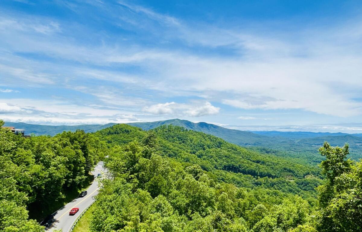 Winding two-lane road cuts through a dense green forest toward distant blue mountains under a bright sky with scattered clouds.