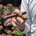 Cigar smoking