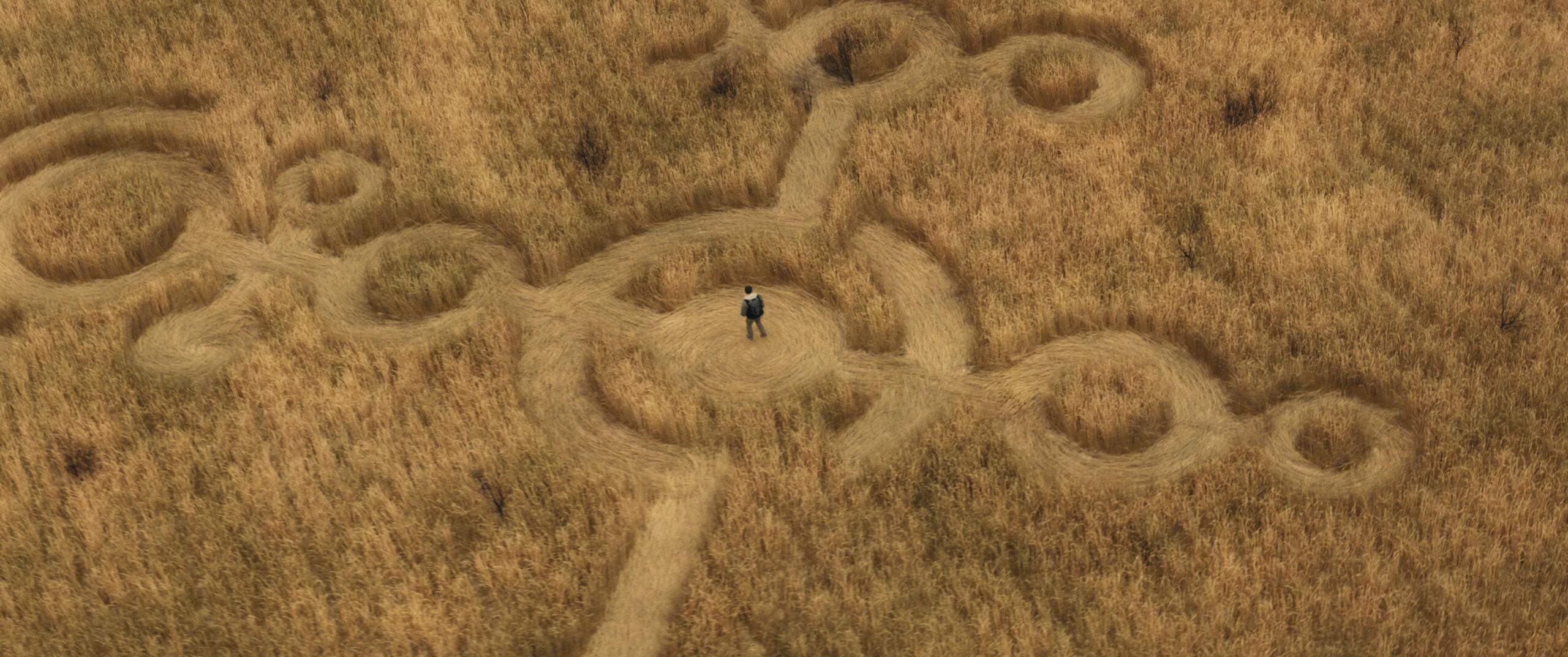 Bird's-eye view of a solitary hiker on a winding dirt trail looping through tall golden grass.