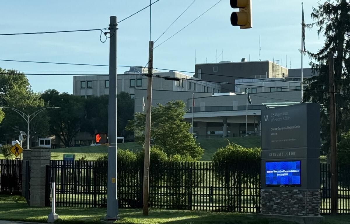 View of a VA Medical Center campus with a street, traffic light, power lines, and a prominent hospital sign at the entrance.