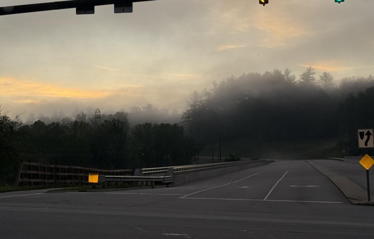Morning fog over a road with guardrails, trees in the distance, and a green traffic light overhead on the right.