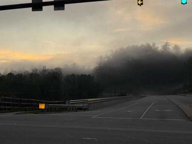Morning fog over a road with guardrails, trees in the distance, and a green traffic light overhead on the right.
