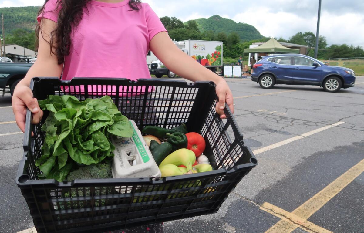 Person in a pink shirt holds a crate filled with fresh leafy greens and colorful vegetables in a parking lot market.