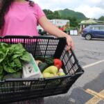 Person in a pink shirt holds a crate filled with fresh leafy greens and colorful vegetables in a parking lot market.