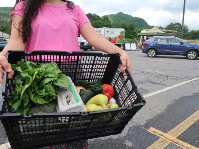 Person in a pink shirt holds a crate filled with fresh leafy greens and colorful vegetables in a parking lot market.