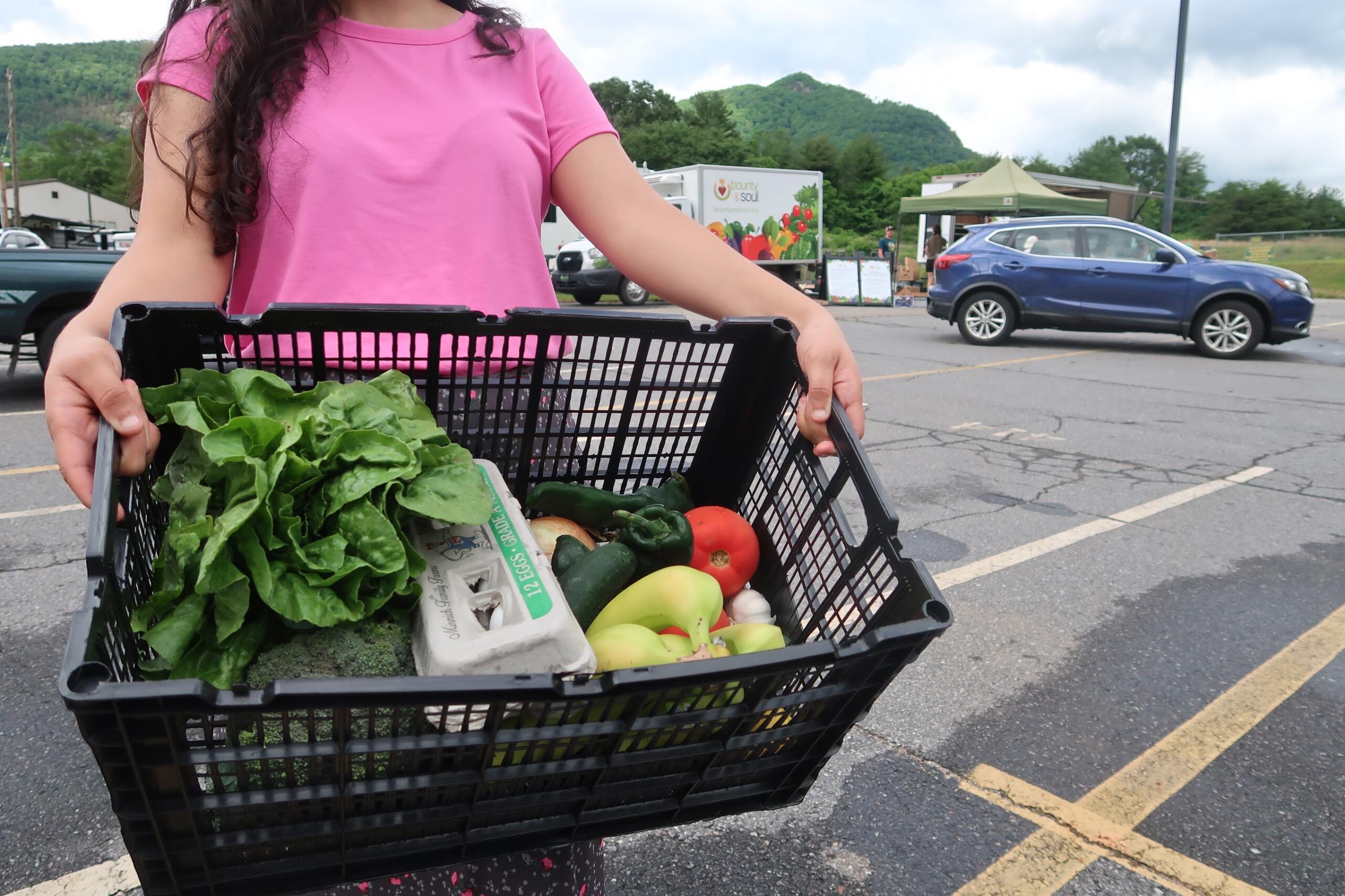 Person in a pink shirt holds a crate filled with fresh leafy greens and colorful vegetables in a parking lot market.