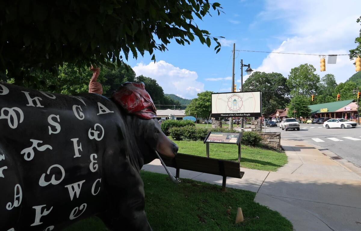 Life-size cow statue painted with white letters in a park, with the Museum of the Cherokee People sign visible across the street.