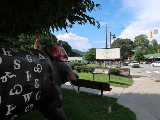 Life-size cow statue painted with white letters in a park, with the Museum of the Cherokee People sign visible across the street.