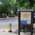 Informational map kiosk on a city sidewalk, surrounded by trees and parked cars in downtown Asheville.