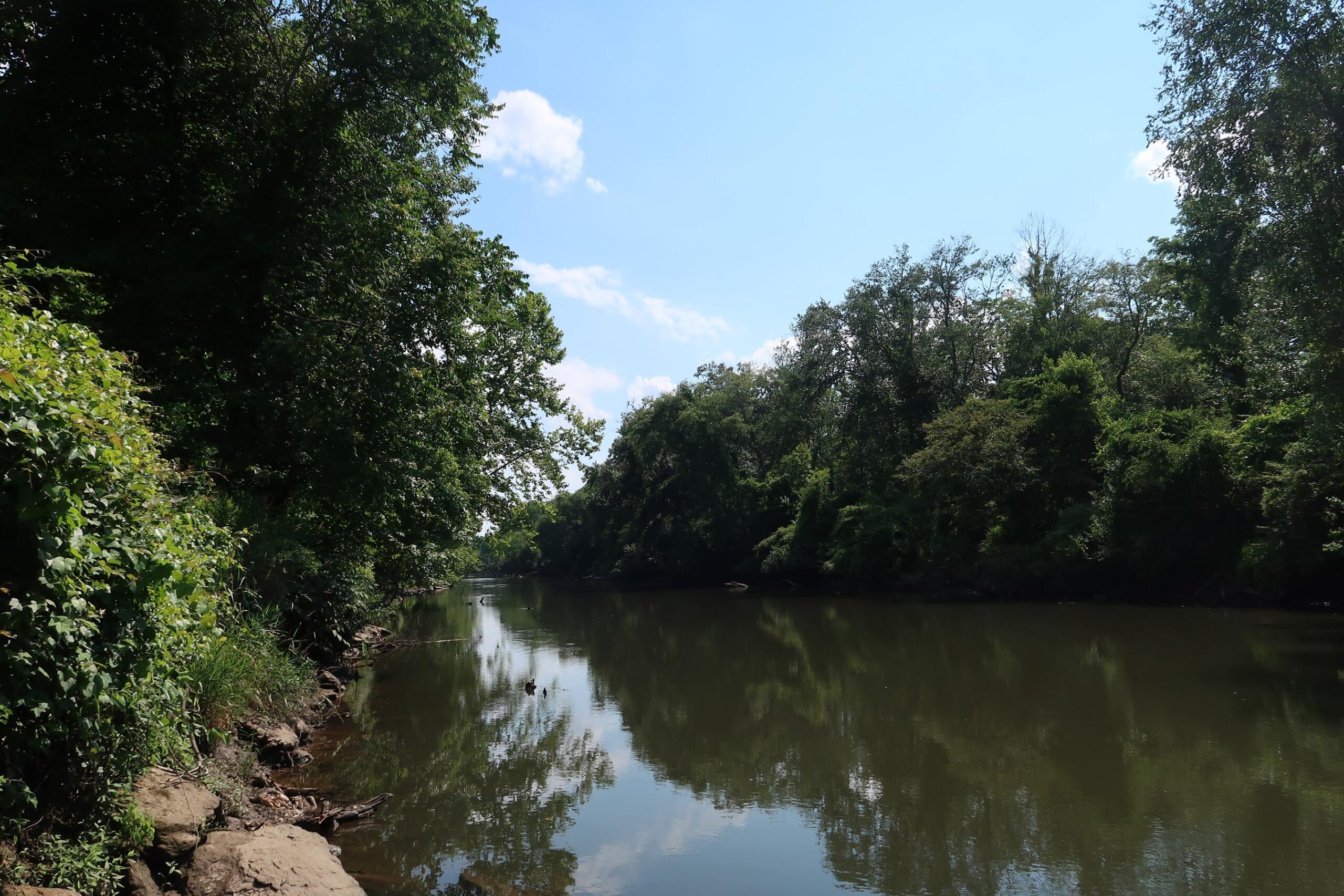 Calm river flanked by dense green trees under a clear blue sky, with rocky bank on the left.