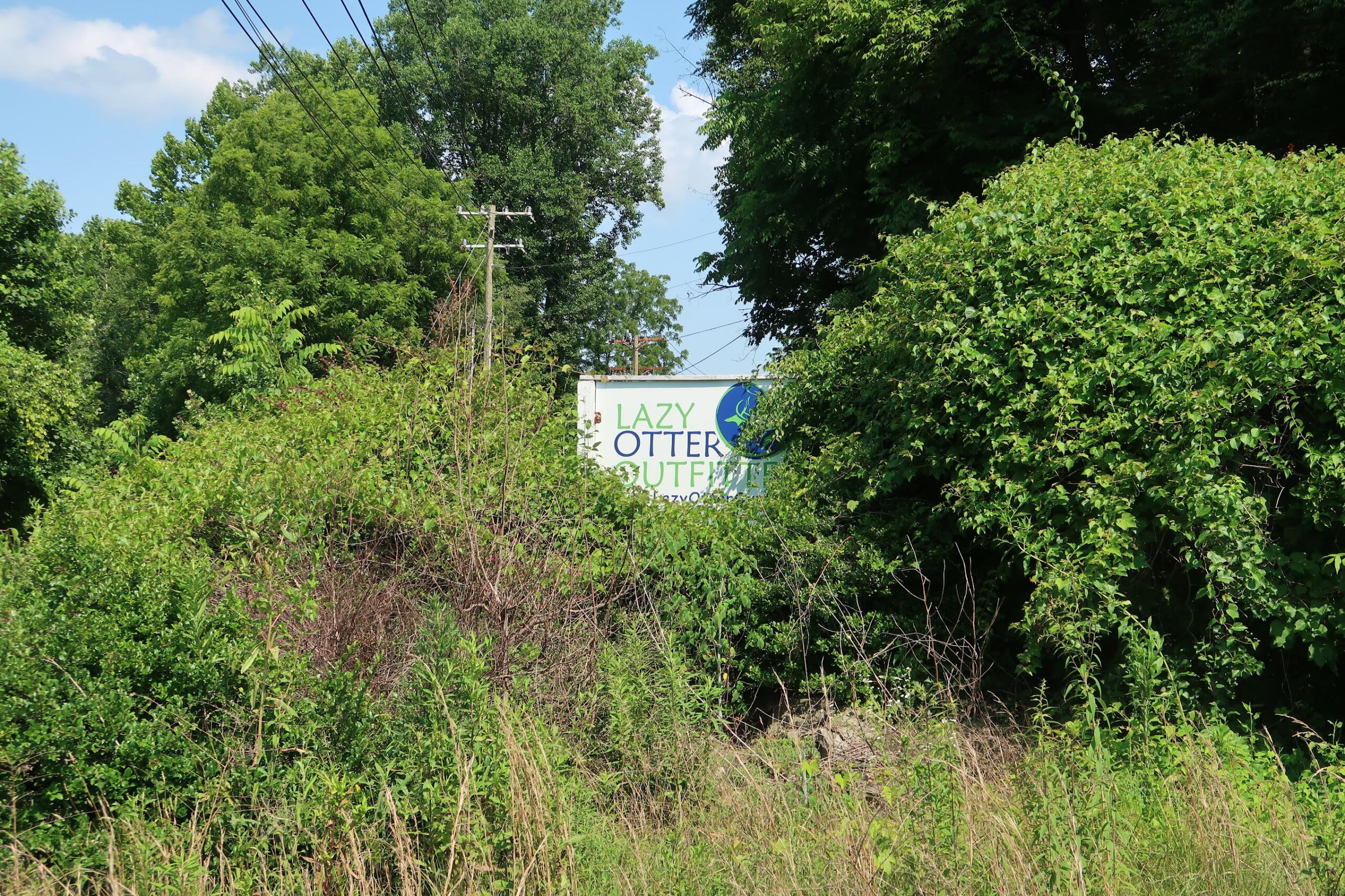 Overgrown bushes partially hide a sign reading 'Lazy Otter Outlet' with power lines overhead and a blue sky behind.