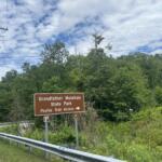 Brown road sign reading 'Grandfather Mountain State Park' with arrows and 'Profile Trail Access' in a wooded roadside area, beside a guardrail and power lines.