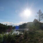 Bright sunlit river scene with a clear blue sky, trees along the banks, and a calm water surface below.