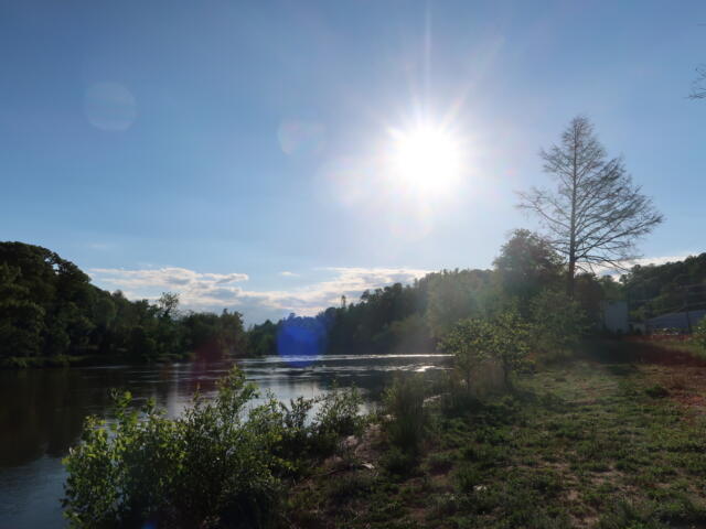 Bright sunlit river scene with a clear blue sky, trees along the banks, and a calm water surface below.