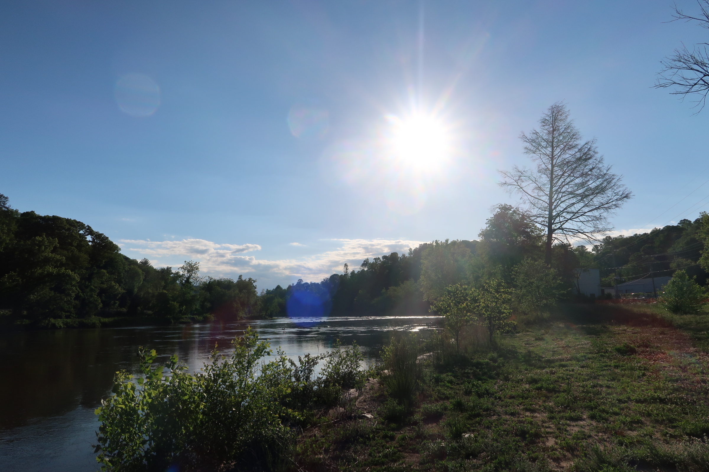 Bright sunlit river scene with a clear blue sky, trees along the banks, and a calm water surface below.