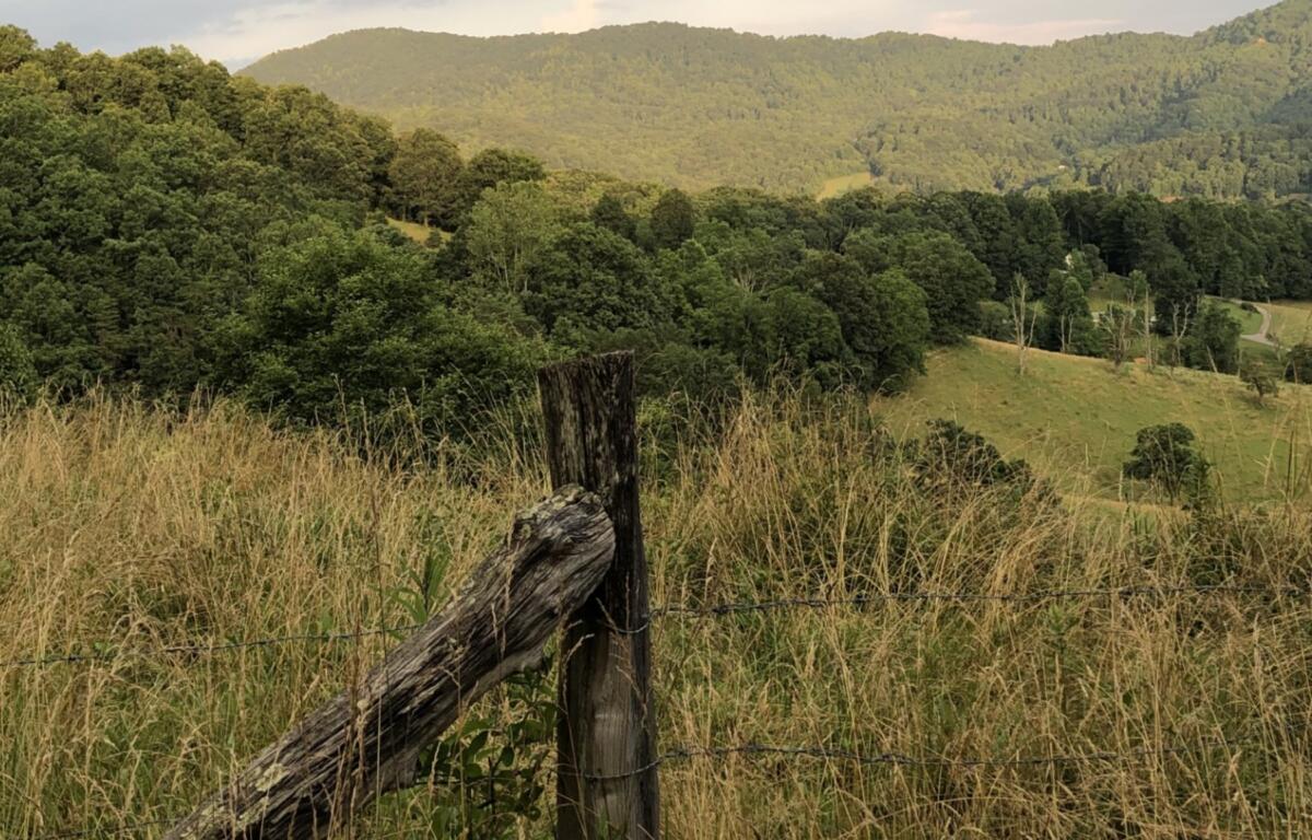 Rolling hills and dense forest under a cloudy sky, with tall grasses and a weathered barbed-wire fence in the foreground.