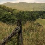 Rolling hills and dense forest under a cloudy sky, with tall grasses and a weathered barbed-wire fence in the foreground.