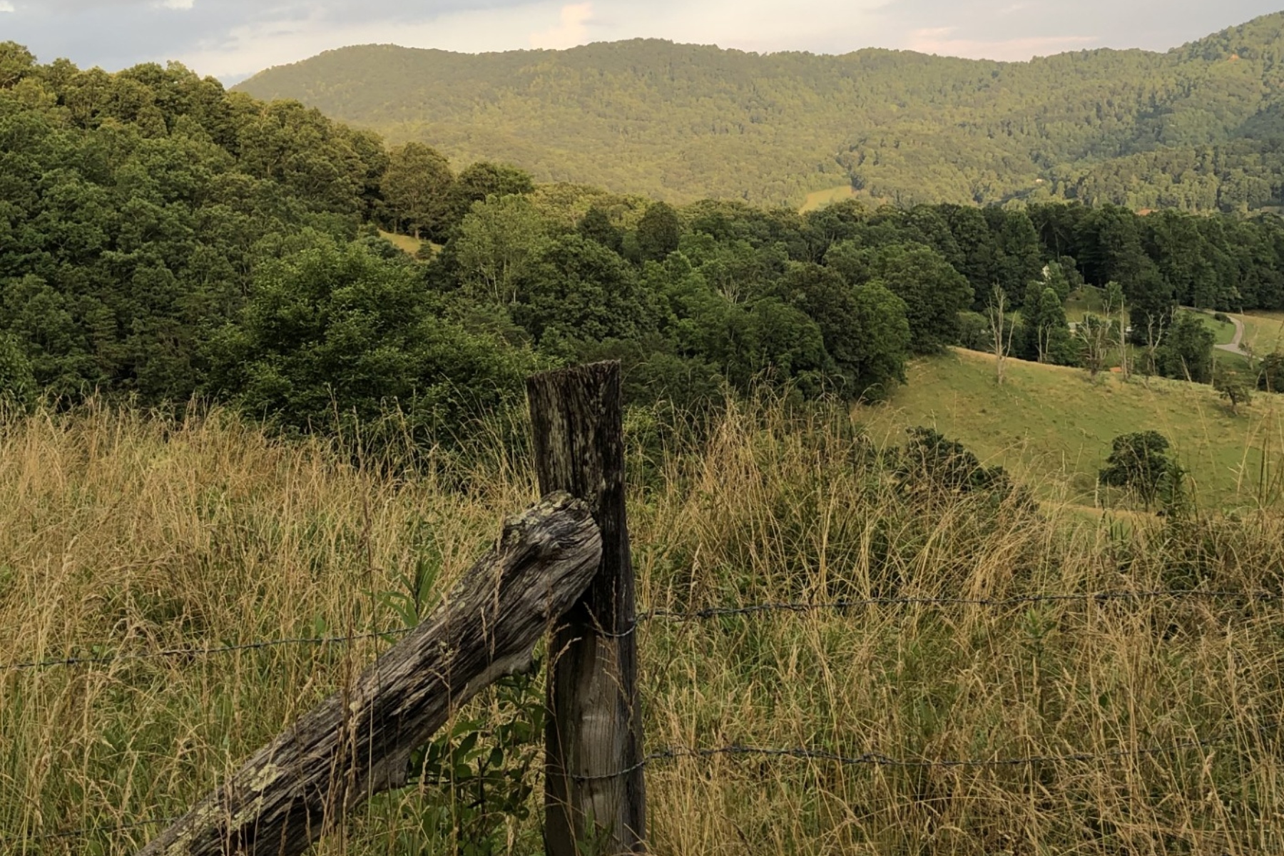 Rolling hills and dense forest under a cloudy sky, with tall grasses and a weathered barbed-wire fence in the foreground.