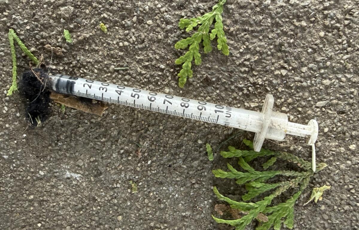 A used syringe on the ground in West Asheville