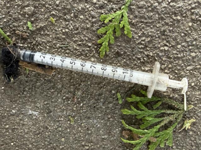 A used syringe on the ground in West Asheville